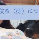 Thumbnail of related posts 029