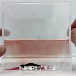 Thumbnail of related posts 013