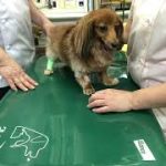 Thumbnail of related posts 000