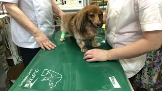 Thumbnail of post image 200