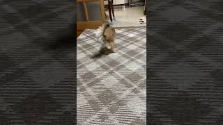 Thumbnail of post image 191