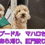 Thumbnail of related posts 167