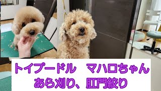 Thumbnail of post image 111