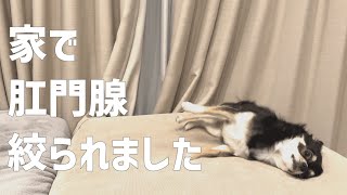 Thumbnail of post image 006