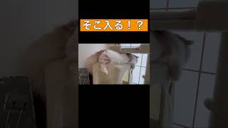 Thumbnail of post image 045