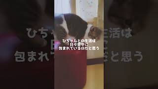 Thumbnail of post image 135