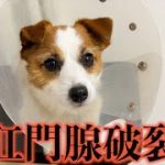 Thumbnail of related posts 053