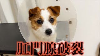 Thumbnail of post image 070