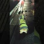 Thumbnail of related posts 002