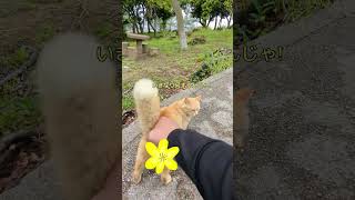 Thumbnail of post image 018