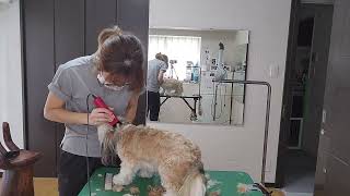 Thumbnail of post image 039