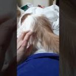 Thumbnail of related posts 189