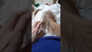 Thumbnail of post image 143