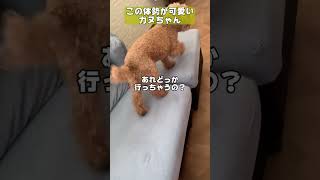 Thumbnail of post image 132