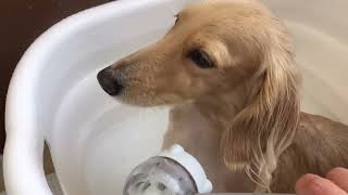 Thumbnail of post image 004