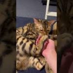 Thumbnail of related posts 005