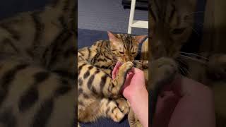 Thumbnail of post image 180