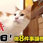 Thumbnail of related posts 009