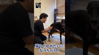 Thumbnail of post image 023