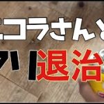 Thumbnail of related posts 177