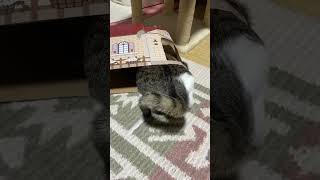 Thumbnail of post image 052