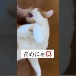 Thumbnail of related posts 156