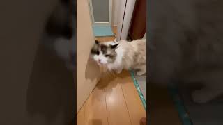 Thumbnail of post image 097