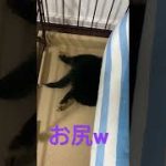 Thumbnail of related posts 182