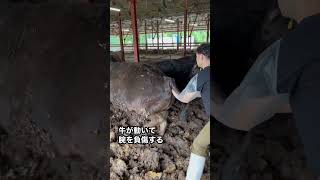 Thumbnail of post image 182