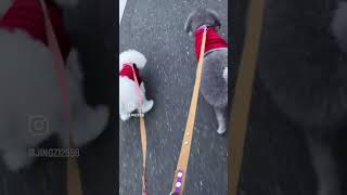 Thumbnail of post image 132