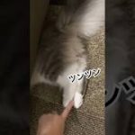 Thumbnail of related posts 128