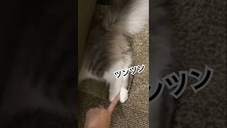 Thumbnail of post image 200