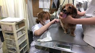 Thumbnail of post image 065