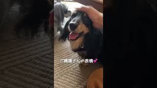 Thumbnail of post image 150