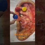 Thumbnail of related posts 159