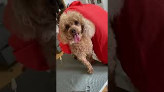 Thumbnail of post image 109