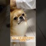 Thumbnail of related posts 081