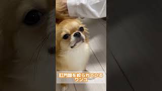 Thumbnail of post image 074