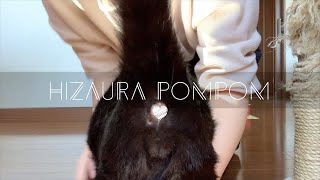 Thumbnail of post image 069