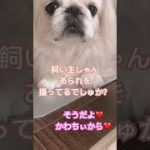 Thumbnail of related posts 140