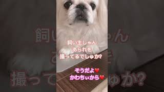 Thumbnail of post image 093