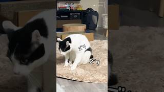 Thumbnail of post image 182