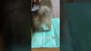 Thumbnail of post image 082