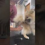 Thumbnail of related posts 186