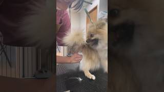 Thumbnail of post image 178