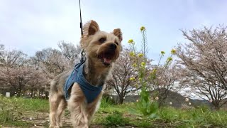 Thumbnail of post image 086