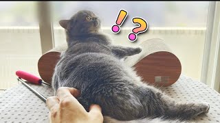 Thumbnail of post image 140