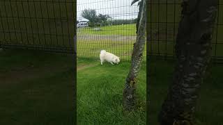 Thumbnail of post image 043