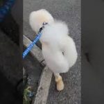 Thumbnail of related posts 189