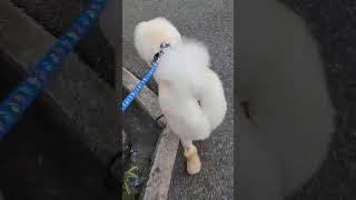 Thumbnail of post image 160